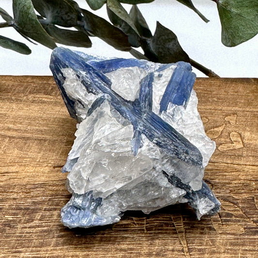 Blue Kyanite Raw Crystal